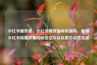小红书播放量，小红书播放量有收益吗，解锁小红书高播放量的秘密亿乐社区低价自营货源站