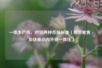 一条生产线，对接两种市场标准（经济聚焦·加快推动内外贸一体化）