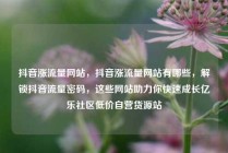抖音涨流量网站，抖音涨流量网站有哪些，解锁抖音流量密码，这些网站助力你快速成长亿乐社区低价自营货源站