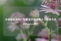 大学校长发问：如果梁文锋读博士，还有今天的DeepSeek吗？