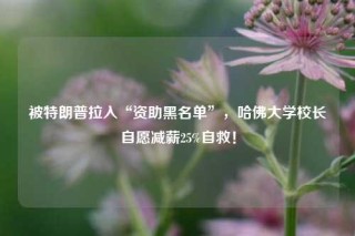 被特朗普拉入“资助黑名单”，哈佛大学校长自愿减薪25%自救！