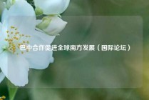 巴中合作促进全球南方发展（国际论坛）