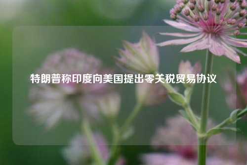 特朗普称印度向美国提出零关税贸易协议  第1张