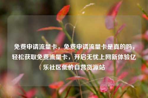免费申请流量卡	，免费申请流量卡是真的吗，轻松获取免费流量卡，开启无忧上网新体验亿乐社区低价自营货源站  第1张