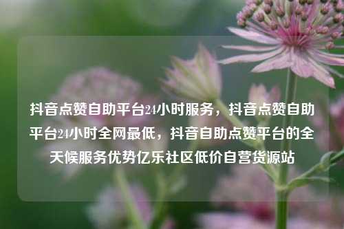 抖音点赞自助平台24小时服务，抖音点赞自助平台24小时全网最低	，抖音自助点赞平台的全天候服务优势亿乐社区低价自营货源站  第1张