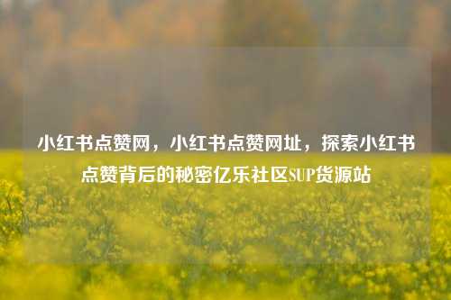 小红书点赞网，小红书点赞网址	，探索小红书点赞背后的秘密亿乐社区SUP货源站  第1张