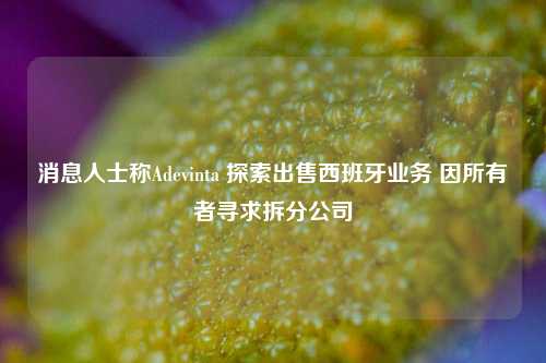 消息人士称Adevinta 探索出售西班牙业务 因所有者寻求拆分公司  第1张