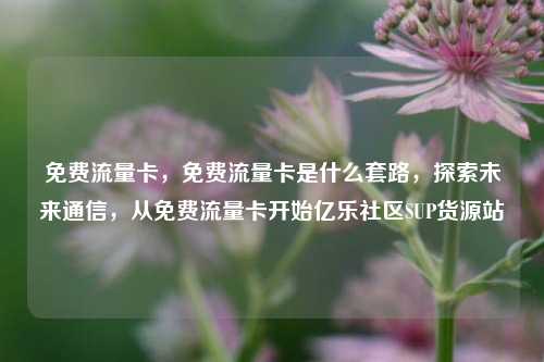 免费流量卡，免费流量卡是什么套路，探索未来通信，从免费流量卡开始亿乐社区SUP货源站  第1张