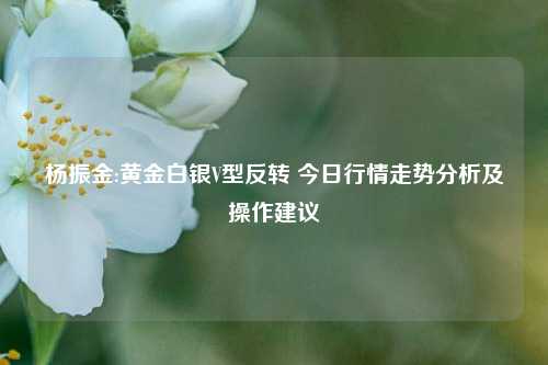 杨振金:黄金白银V型反转 今日行情走势分析及操作建议  第1张