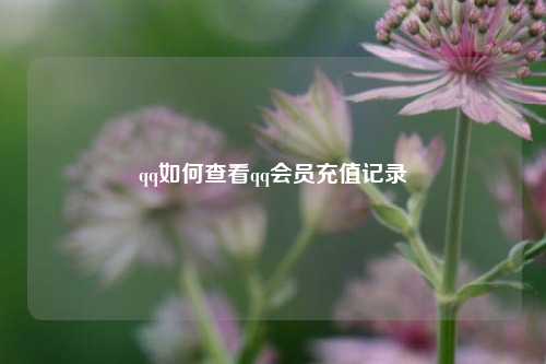 qq如何查看qq会员充值记录  第1张