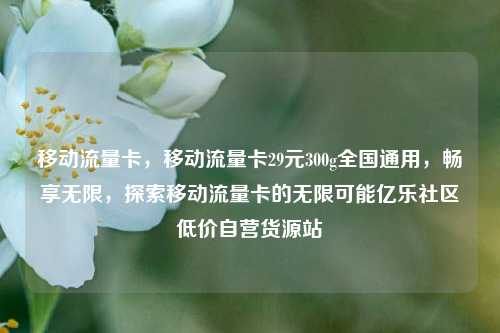 移动流量卡，移动流量卡29元300g全国通用	，畅享无限，探索移动流量卡的无限可能亿乐社区低价自营货源站  第1张