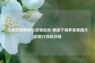 主权信用降级后连锁反应 穆迪下调多家美国大型银行存款评级