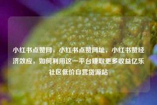 小红书点赞网，小红书点赞网址，小红书赞经济效应，如何利用这一平台赚取更多收益亿乐社区低价自营货源站