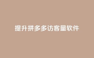 提升拼多多访客量软件