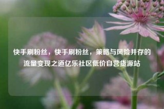快手刷粉丝，快手刷粉丝，策略与风险并存的流量变现之道亿乐社区低价自营货源站
