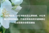 小红书粉丝，小红书粉丝怎么移除掉，小红书爆火背后的秘密，打造忠实粉丝的关键策略亿乐社区低价自营货源站