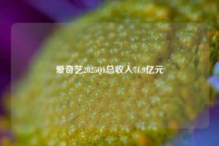 爱奇艺2025Q1总收入71.9亿元