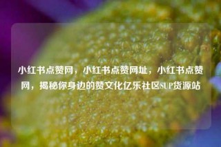小红书点赞网，小红书点赞网址，小红书点赞网，揭秘你身边的赞文化亿乐社区SUP货源站