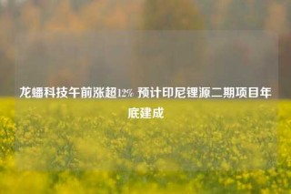 龙蟠科技午前涨超12% 预计印尼锂源二期项目年底建成