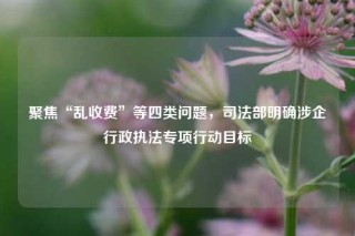 聚焦“乱收费”等四类问题，司法部明确涉企行政执法专项行动目标