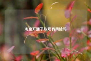 淘宝开通子账号有风险吗