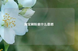 淘宝刷粉是什么意思