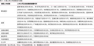 港股IPO火爆！宁德时代首日涨超16%，“A+H”上市模式成潮流