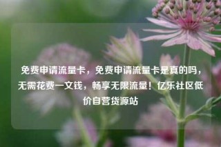 免费申请流量卡，免费申请流量卡是真的吗，无需花费一文钱，畅享无限流量！亿乐社区低价自营货源站