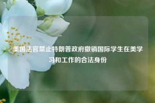 美国法官禁止特朗普政府撤销国际学生在美学习和工作的合法身份