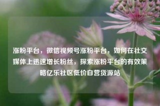 涨粉平台，微信视频号涨粉平台，如何在社交媒体上迅速增长粉丝，探索涨粉平台的有效策略亿乐社区低价自营货源站