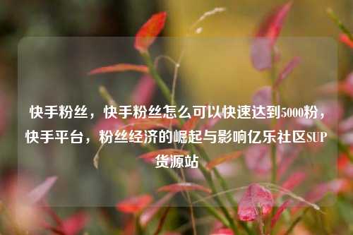 快手粉丝，快手粉丝怎么可以快速达到5000粉，快手平台，粉丝经济的崛起与影响亿乐社区SUP货源站  第1张
