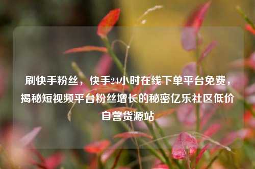 刷快手粉丝，快手24小时在线下单平台免费，揭秘短视频平台粉丝增长的秘密亿乐社区低价自营货源站  第1张