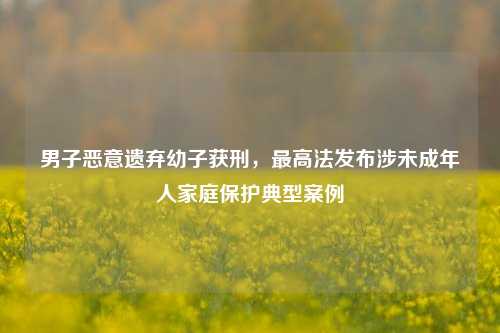 男子恶意遗弃幼子获刑，最高法发布涉未成年人家庭保护典型案例  第1张