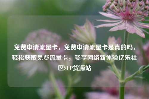 免费申请流量卡，免费申请流量卡是真的吗，轻松获取免费流量卡，畅享网络新体验亿乐社区SUP货源站  第1张
