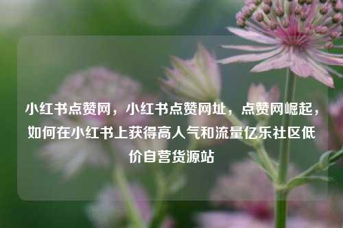 小红书点赞网，小红书点赞网址，点赞网崛起	，如何在小红书上获得高人气和流量亿乐社区低价自营货源站  第1张