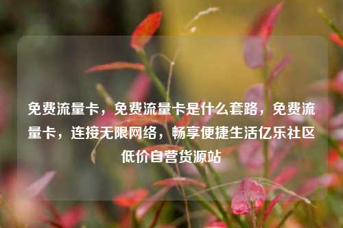 免费流量卡，免费流量卡是什么套路	，免费流量卡，连接无限网络，畅享便捷生活亿乐社区低价自营货源站  第1张