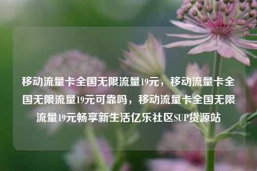 移动流量卡全国无限流量19元，移动流量卡全国无限流量19元可靠吗	，移动流量卡全国无限流量19元畅享新生活亿乐社区SUP货源站  第1张