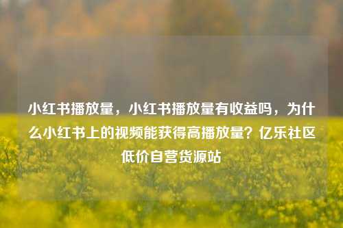 小红书播放量，小红书播放量有收益吗，为什么小红书上的视频能获得高播放量？亿乐社区低价自营货源站  第1张