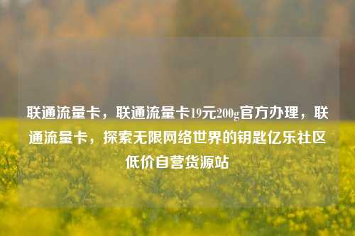 联通流量卡，联通流量卡19元200g官方办理，联通流量卡	，探索无限网络世界的钥匙亿乐社区低价自营货源站  第1张