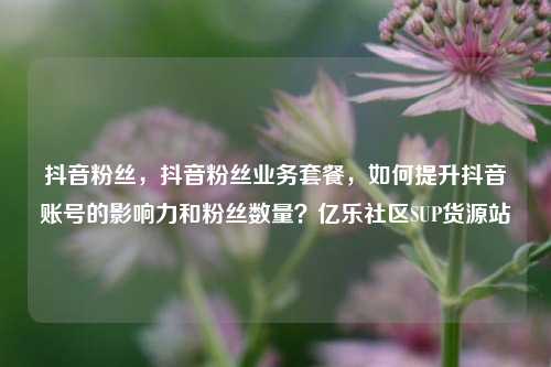 抖音粉丝，抖音粉丝业务套餐，如何提升抖音账号的影响力和粉丝数量？亿乐社区SUP货源站  第1张