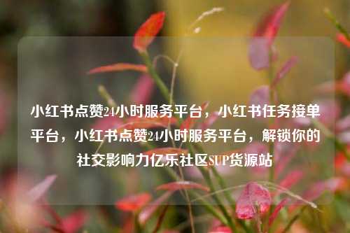 小红书点赞24小时服务平台，小红书任务接单平台，小红书点赞24小时服务平台	，解锁你的社交影响力亿乐社区SUP货源站  第1张