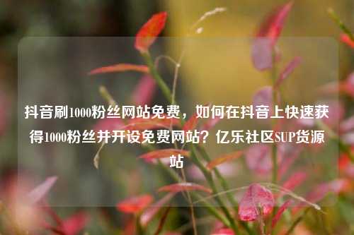 抖音刷1000粉丝网站免费，如何在抖音上快速获得1000粉丝并开设免费网站？亿乐社区SUP货源站  第1张