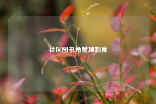 社区图书角管理制度  第1张