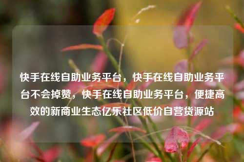 快手在线自助业务平台，快手在线自助业务平台不会掉赞，快手在线自助业务平台，便捷高效的新商业生态亿乐社区低价自营货源站  第1张