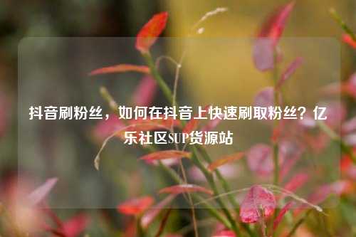 抖音刷粉丝	，如何在抖音上快速刷取粉丝？亿乐社区SUP货源站  第1张