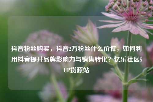 抖音粉丝购买，抖音2万粉丝什么价位，如何利用抖音提升品牌影响力与销售转化？亿乐社区SUP货源站  第1张