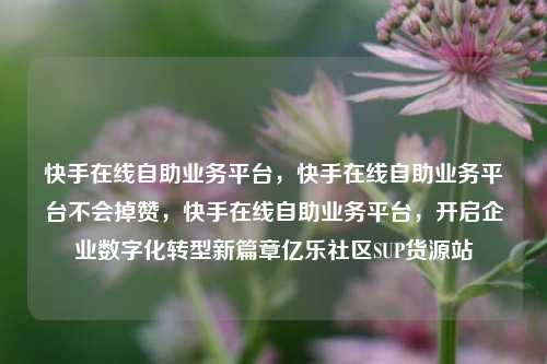 快手在线自助业务平台，快手在线自助业务平台不会掉赞，快手在线自助业务平台	，开启企业数字化转型新篇章亿乐社区SUP货源站  第1张