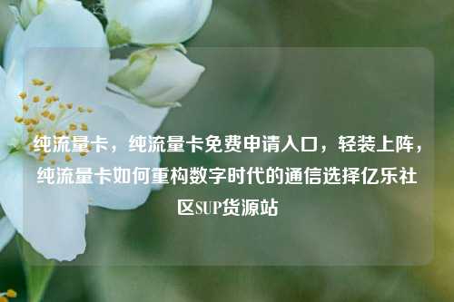 纯流量卡，纯流量卡免费申请入口，轻装上阵	，纯流量卡如何重构数字时代的通信选择亿乐社区SUP货源站  第1张